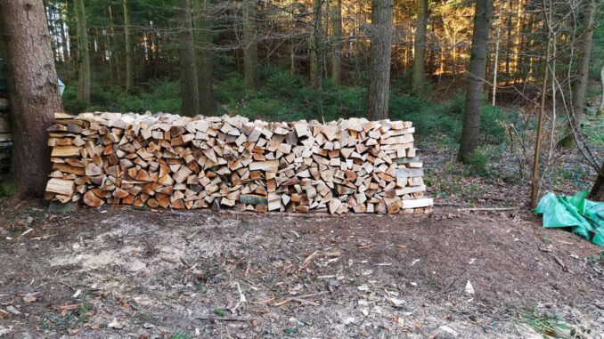 Gefahren für die Waldameisen u.a. die Forstwirtschaft. CC BY SA 4.0 Isabelle Trees Frauenkappelen Switzerland
